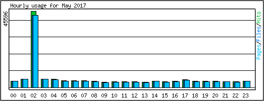 Hourly usage