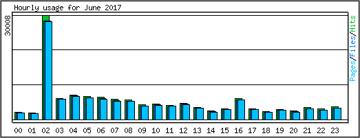 Hourly usage