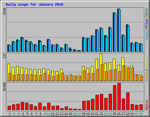 Daily usage for January 2010