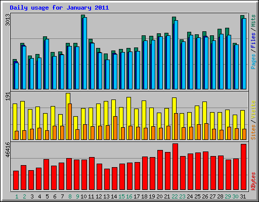 Daily usage for January 2011