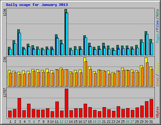 Daily usage for January 2013