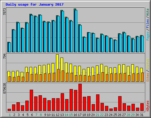 Daily usage for January 2017