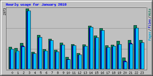 Hourly usage for January 2010