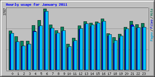 Hourly usage for January 2011