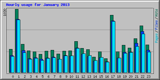 Hourly usage for January 2013