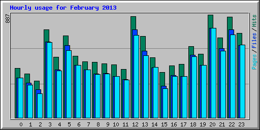 Hourly usage for February 2013