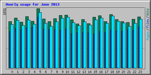 Hourly usage for June 2013