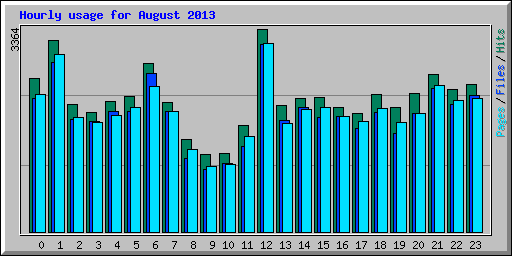 Hourly usage for August 2013