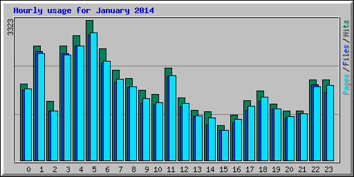 Hourly usage for January 2014