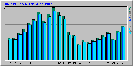 Hourly usage for June 2014