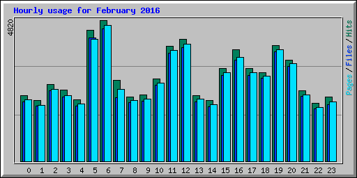 Hourly usage for February 2016