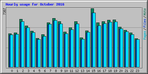 Hourly usage for October 2016