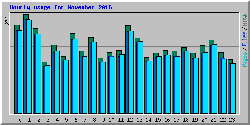 Hourly usage for November 2016