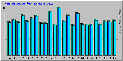 Hourly usage for January 2017